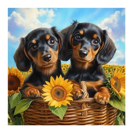 SJUTOUCI Dachshund Diamond Art Painting Kits for Adults, Dog Diamond Art Kits for Beginners, 5D DIY Full Drill Gem Craft for Home Decor Gift 12x12inch/30x30cm