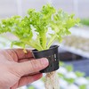 Rockwool Grow Cubes Set for Hydroponics - 21Ps Stonewool Starter