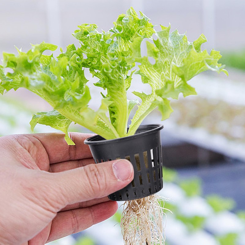 Rockwool Grow Cubes Set for Hydroponics - 21Ps Stonewool Starter