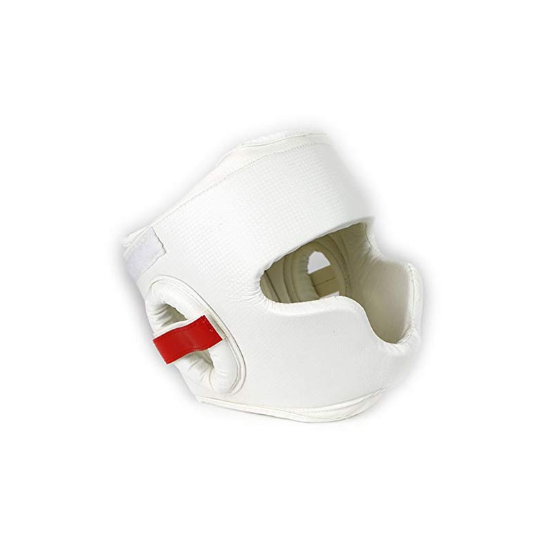 ISAMI Wide View Head Guard II TT-45 (S)