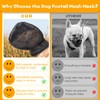 Foxtail Mask for Dogs (S), Field Net Guard Dog Foxtail
