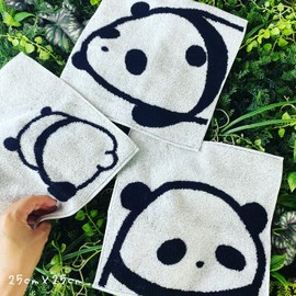 Imabari Towel, Handkerchief Towel, Set of 3, 9.8 x 9.8 inches (25 x 25 cm), Made in Japan, Imabari, 100% Cotton, Gentle on the Skin, Cute, Cotton 100%, Panda Pattern, Kindergarten, Nursery, Panda Goods, Camping, Kids