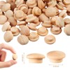 Hardwood Mushroom Caps - 200 PCstmt Wood Button Plugs (1/2