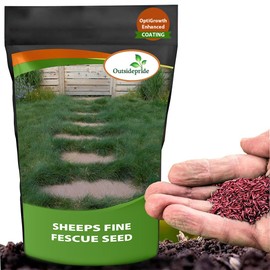 Outsidepride Sheeps Fine Fescue Grass Seed - 5 Lbs. Perennial Heat & Drought Tolerant Dense Green, Traffic-Resistant Turf for Shaded Environments w/OptiGrowth Coating for Seed Enhancement