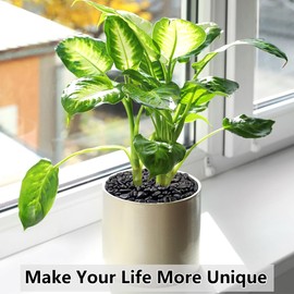 YISZM 10LB Succulent and Cactus Black Pebbles, 3/8 Inch Natural Decorative Polished Stones, River Rocks for Indoor Plants, Vases, Planters and Outdoor Gardening