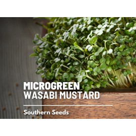 Southern Seeds Microgreen, Wasabi Spicy Mustard seeds - Intense and Peppery Flavor - Resembles