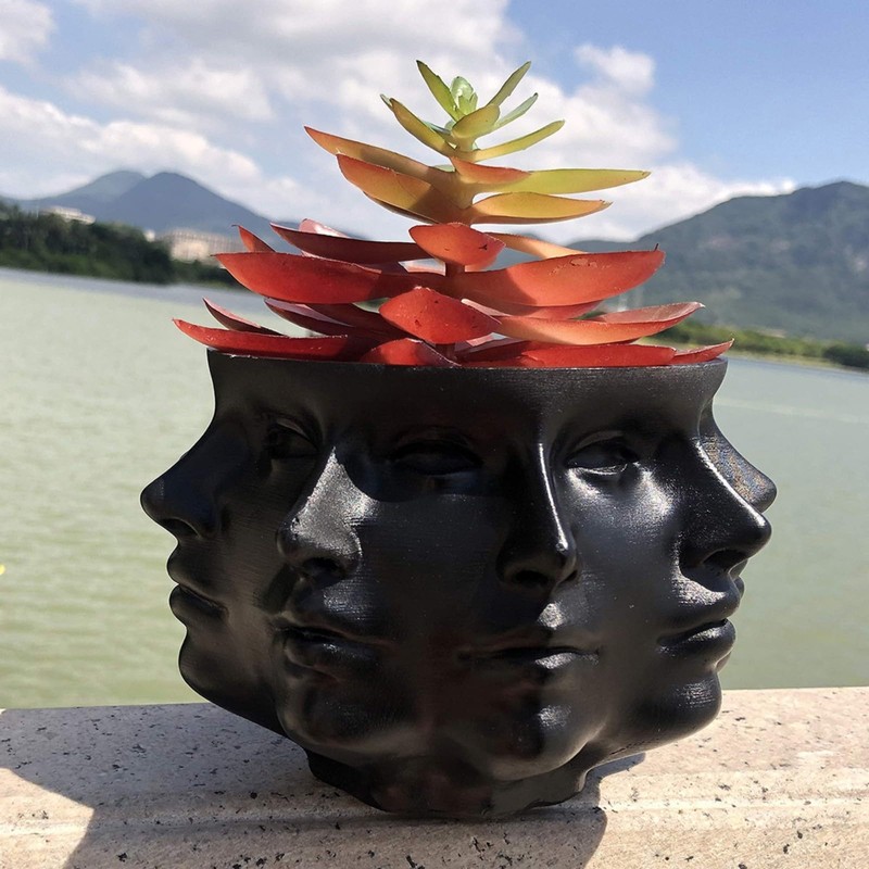 QUINTRA Succulent Planter with Faces, Small Face, Face Vase, Home
