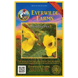 Everwilde Farms - 300 Partridge Pea Native Wildflower Seeds - Gold Vault Jumbo Seed Packet