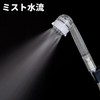 Plus Shower Head, Ultra Fine Mist, Chlorine Reducing, Beauty Shower