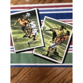 Brewster Wall Coverings Vintage Woman's Soccer Wall Paper Border