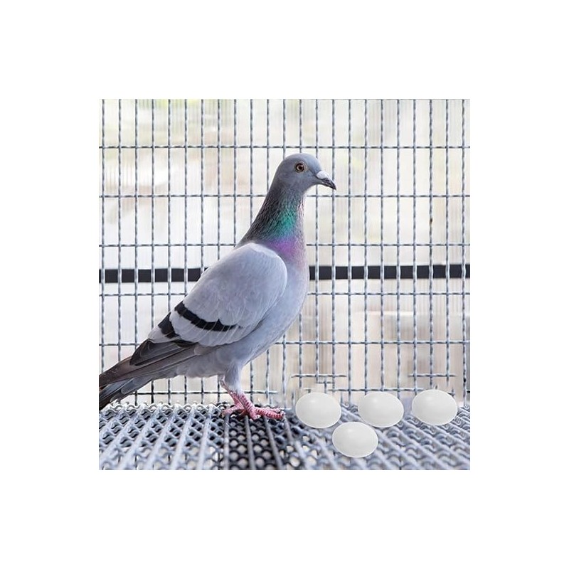 10pcs Solid Parrot Plastic Fake Eggs Realistic Simulated Fake Bird