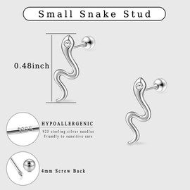 DHZJTSL Small Silver Snake Stud Earrings for Women, Hypoallergenic 925 Sterling Silver Snake Shaped Gothic Goth Earrings, Cartilage Helix Piercing