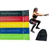 Moss Performance Premium Resistance Bands, for Physical Therapy, Strength Training,
