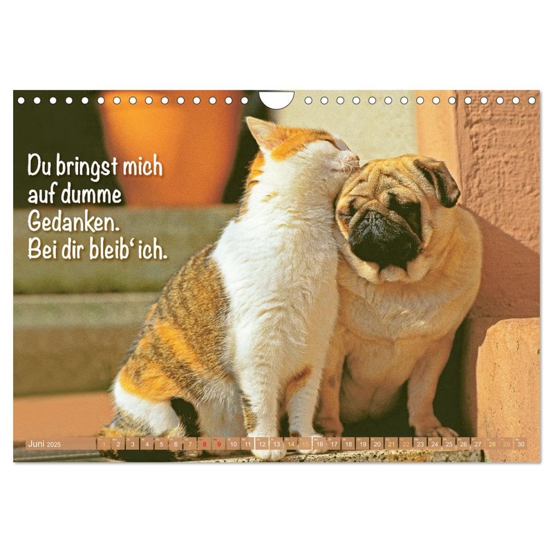 Smile with Pug (Wall Calendar 2025 DIN A4 Landscape), CALVENDO