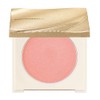 COVERMARK Lighting Color Powder 01 Pink