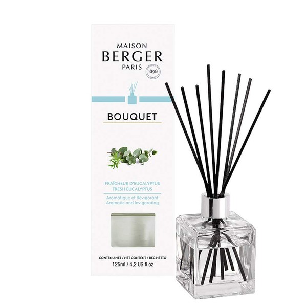 Reed Diffuser - Cube - Clear - Scented Bouquet with Reed Sticks - Prefilled with Lampe Berger Fragrance - 125 Milliliters - 4.2 Fluid Ounces (New Fresh Eucalyptus)