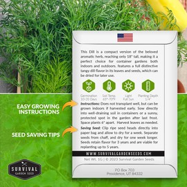 Compact Dill Seeds for Planting – Dwarf Dill for Containers & Small-Space Gardens – High Germination Heirloom Non-GMO Herb for Indoor or Outdoor Growing – Survival Garden Seeds (1 Pack)
