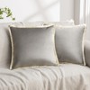 Phantoscope Pack of 2 Velvet Decorative Throw Pillow Covers, Double-Sided