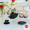 Large 11PC Japanese Tea Set "Gashu Black" Cast Iron Tea