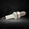 Buckbock GX390 Ignition Coil for Honda GX270 GX340 GX390 8HP
