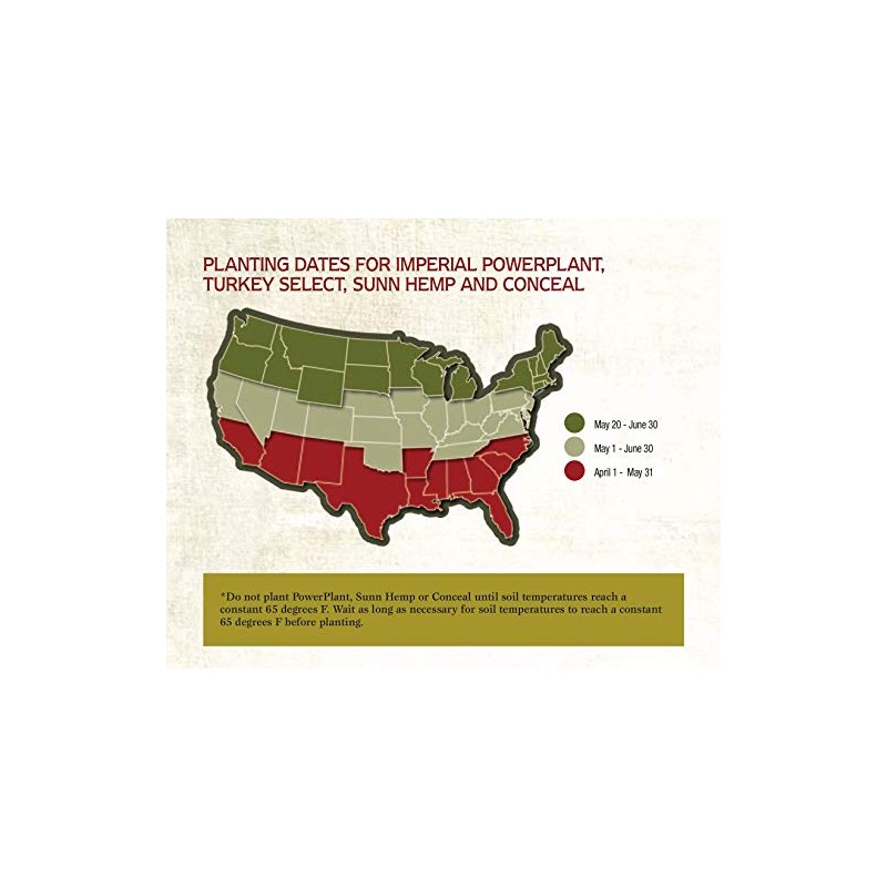 Whitetail Institute Turkey Select Chufa Food Plot Seed, Chufa Seed