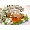Yarrow Herb Tea (Millefolii Herba - Achillea millefolium L.) -