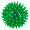 Hedgehog Ball Green, Pack of 1