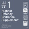 Toniiq NSF Certified Ultra High Strength Berberine HCl from The