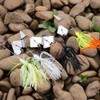 Sougayilang Fishing Lure Buzzbait Spinner Bait Topwater Bait for Bass