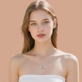 IEFLIFE Unbiological Sister Gifts - Unbiological Sister Gifts for Friend Sisters, Birthday Friendship Friend Gift for Women Friends, Interlocking Circle Necklace Gift for Woman