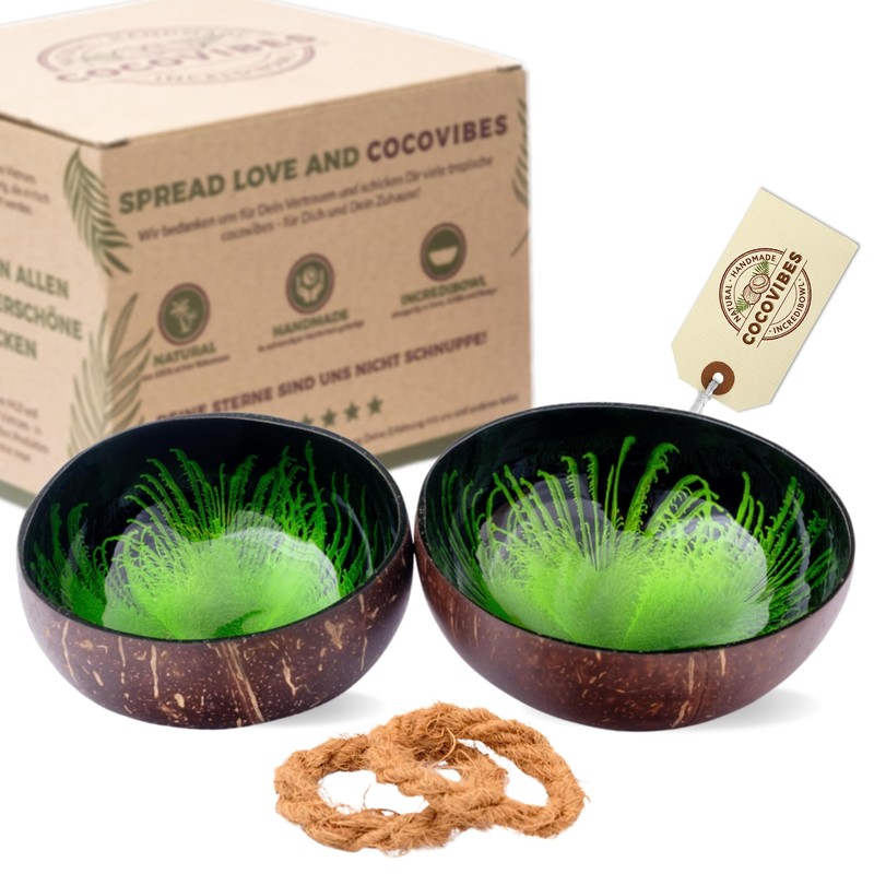 Cocovibes Coconut Bowl Buddha Bowl Lacquered Hand-Made and Environmentally Friendly