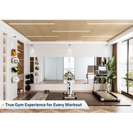 TETOTE Home Gym Mirror 48" x 24" x 2PCS Workout Mirror, Large Full Body Mirror for Fitness, Yoga, Dance, Wall Mounted Long Mirror for Garage, Dance Studio, Bedroom, Oversized Frameless Mirror, 2 PCS