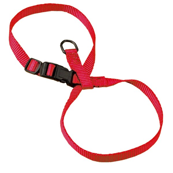Hamilton 3/8-Inch Adjustable Figure 8 Pup-Cat Harness, Large, Red