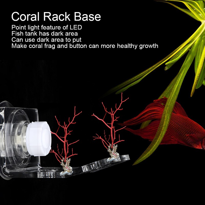 Acrylic Transparent Aquarium 4 Hole Front Bending Coral Frag Stand