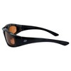 Birdz Eyewear Oriole Padded Motorcycle Riding Sunglasses Black Frame with