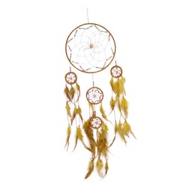 BESPORTBLE 1pc Elegant Dream Catcher Home Decor Wall Art Hanging Ornament Photo Studio Prop