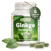 Greenfield – Ginkgo Biloba, 100% Vegan Leaf Extract 450mg, 120