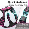 Eagloo Dog Harness No Pull, Walking Pet Harness with 2