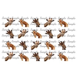 Giraffe Waterslide Nail Art Decals