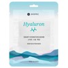 Jkosmec Skin Solution Hyaluron Tissue Mask 25 ml