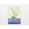 Gloria Arts Tomihiro Hoshino Postcard Winter Postcard Poetry Art Book