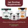 Trans Resveratrol Supplement, High Purity Resveratrol Powder for Age Support,