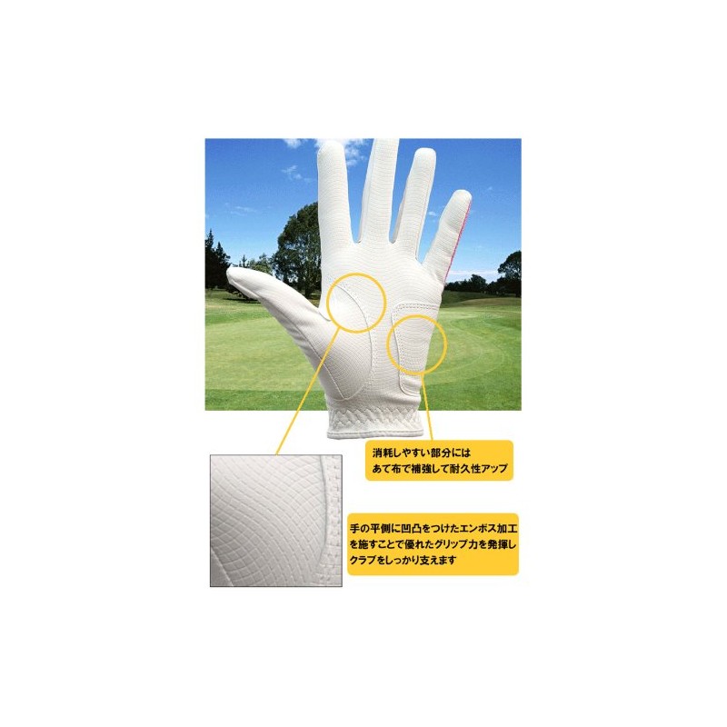 LEZAX Women's Nicotera Ambidextrous Golf Glove Black Medium NTGL-3407