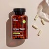 Plant Therapy Ginger Root Herbal Supplement Capsules, Calms Upset Stomachs,