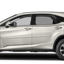 Dawn Enterprises FE-RX16 Finished End Body Side Molding Compatible with Lexus RX - Autumn Shimmer Pearl (4X2)