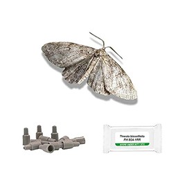 IPM Direct Pack of 3 Moth Trap Attractant Pheromones (Cloth Moth)