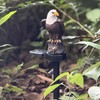Eagle Decorative Garden Light Stake Outdoor Solar Eagle Statue Light