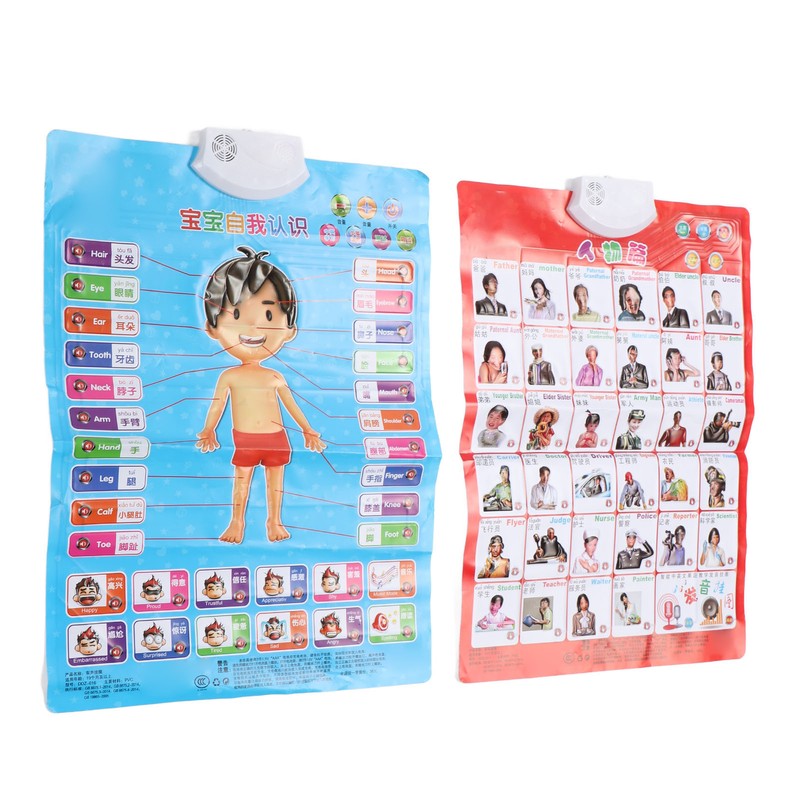 2pcs Chinese English Phonics Posters Multipurpose Fun Early Education Self