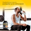 EVOLUTION, Protena de Suero de Leche, WP100, Whey Protein, 18