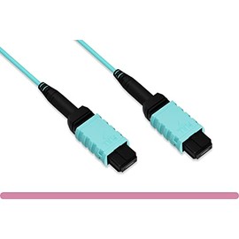 RiteAV - MPO Female to MPO Female OM4 Multi-Mode 12 Strand Fiber Optic Trunk Cable (Type B) 10 Gb/s, 40 Gb/s, and 100 Gb/s (10 Meter (30 Feet))